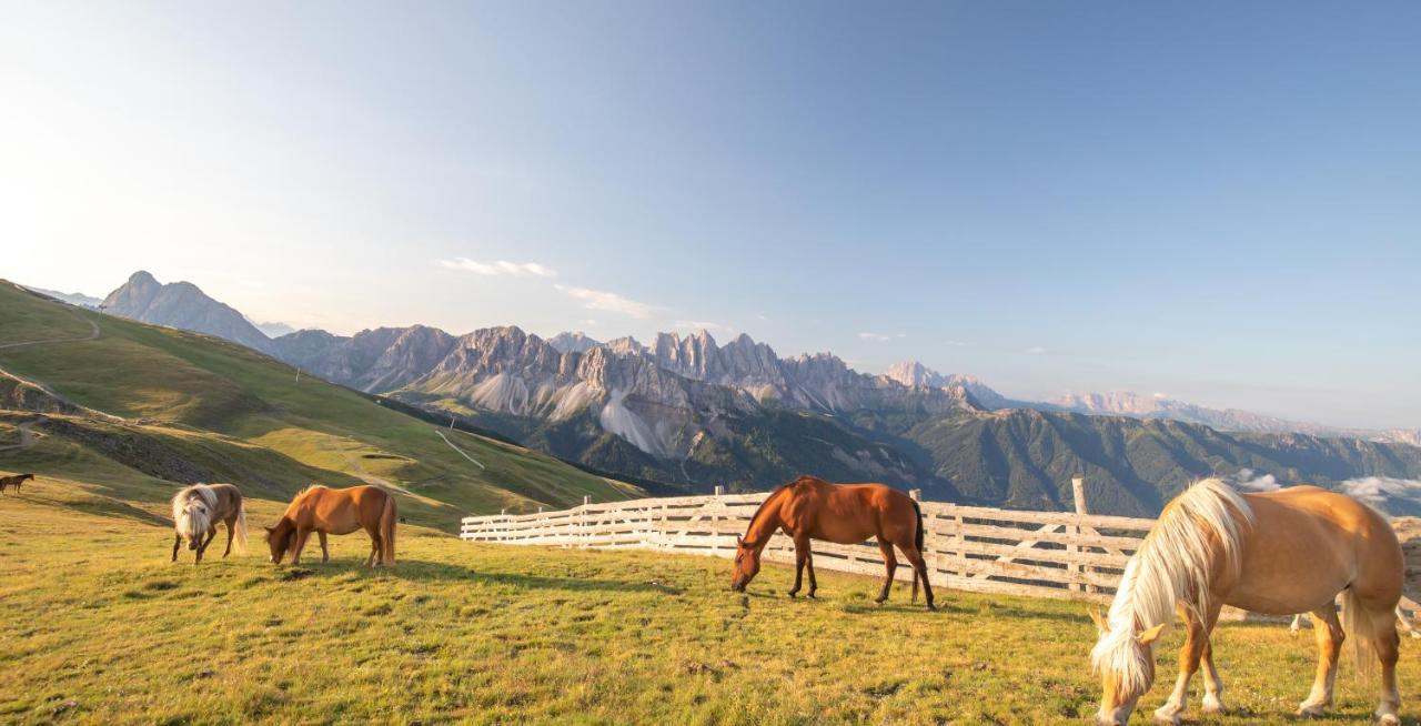 Residence Alpenrose Μπρεσανόνε Εξωτερικό φωτογραφία
